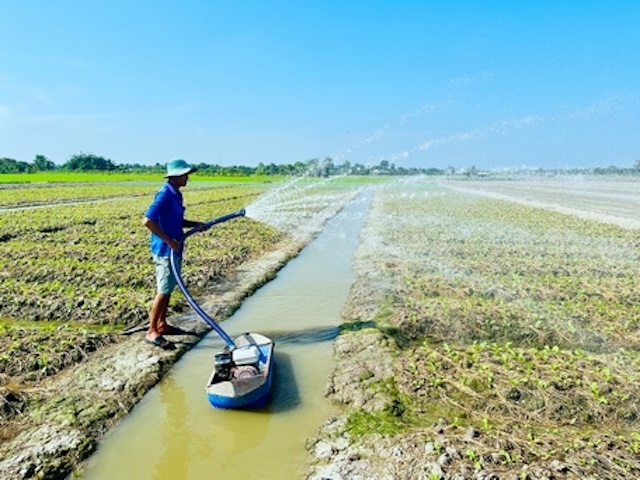 Nhờ chuyển đổi cơ cấu cây trồng hiệu quả giúp nông dân nâng cao thu nhập.