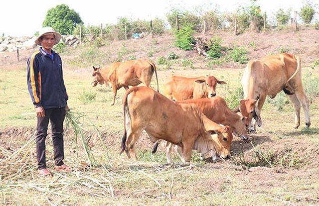 Vốn tín dụng chính sách đã góp phần xóa đói, giảm nghèo cho người dân.