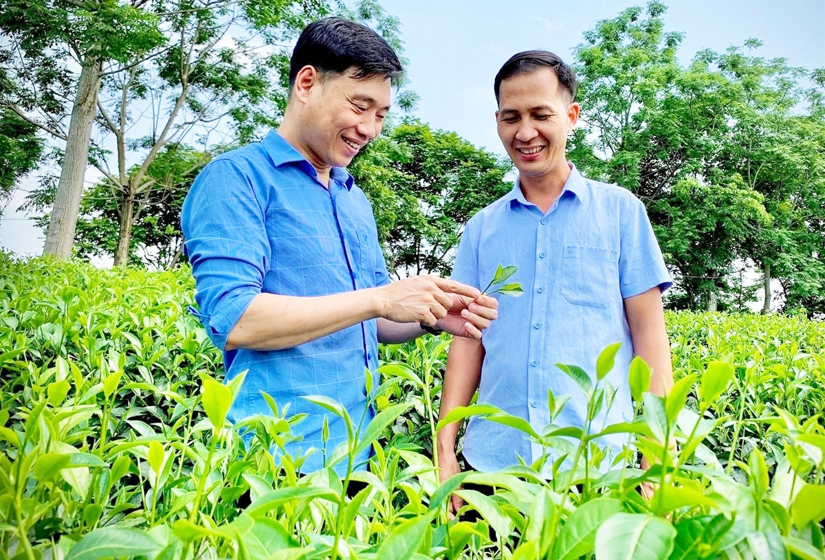 Phát triển nông nghiệp gắn với du lịch cộng đồng là hướng đi được tỉnh Tuyên Quang định hướng trong thời gian tới.
