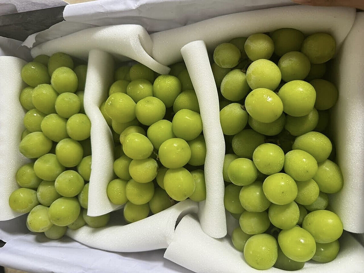 Nhiều nông sản Trung Quốc đang đổ bộ vào Việt Nam tạo áp lực cạnh tranh cho nông sản Việt ngay trên thị trường nội địa.