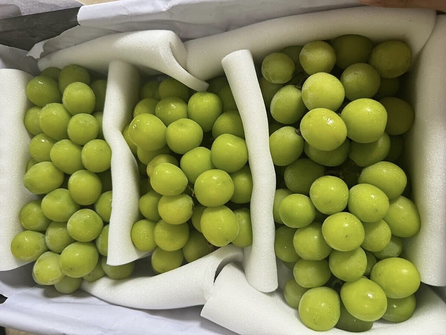 Nhiều nông sản Trung Quốc đang đổ bộ vào Việt Nam tạo áp lực cạnh tranh cho nông sản Việt ngay trên thị trường nội địa.