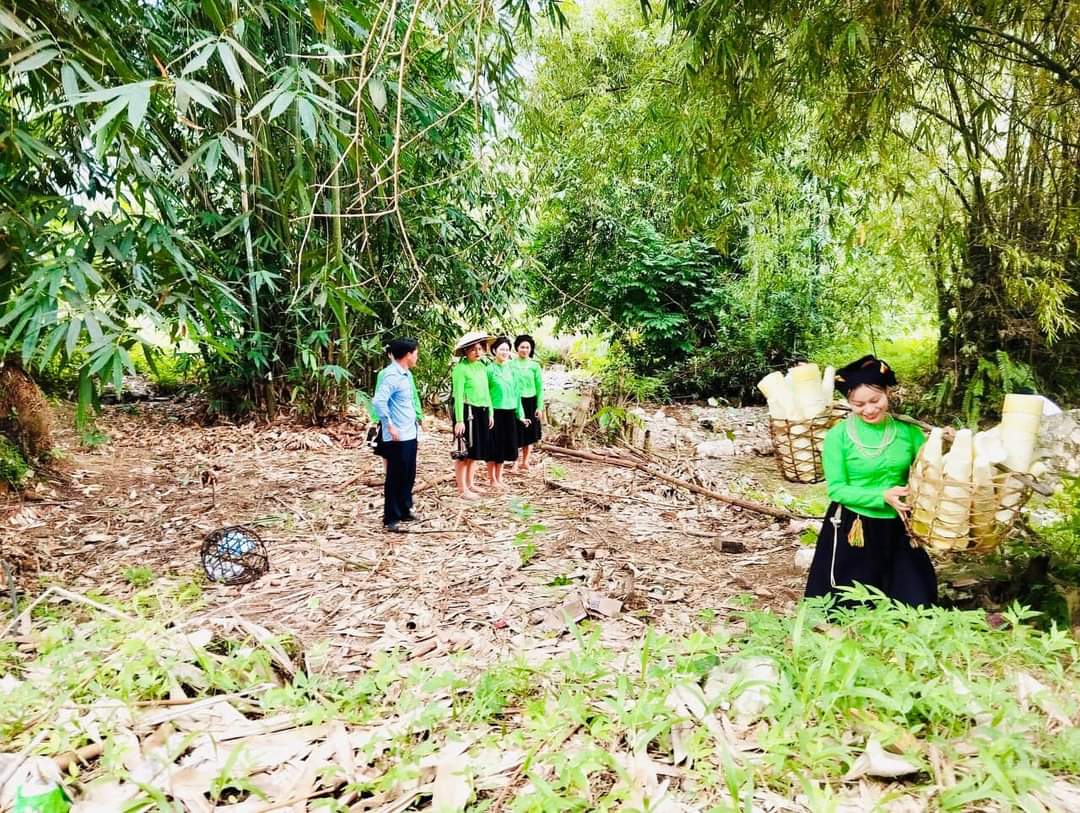 Măng mai Lâm Thượng tạo việc làm tại chỗ cho thanh niên địa phương.