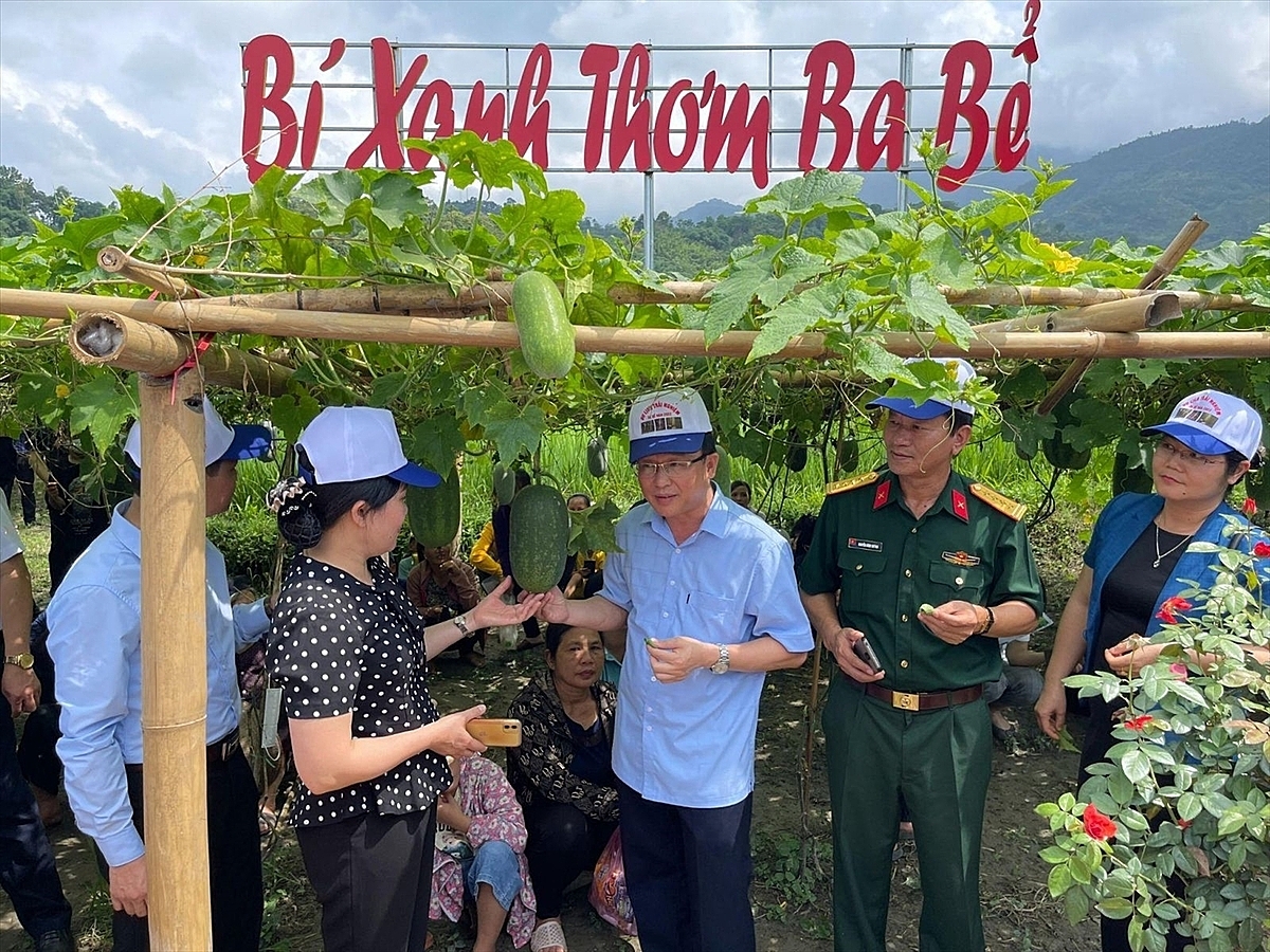 HTX Nhung Lũy đi đầu trong sản xuất quy mô lớn.