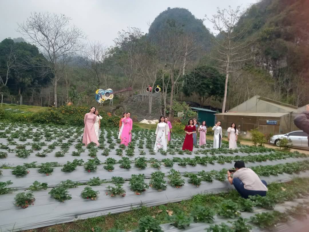 HTX Toàn Dân thu hút khách đến trải nghiệm.