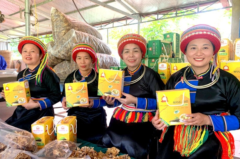 Ngoài sản xuất phở khô và bún khô, HTX Hồng Luân còn phát triển sản phẩm măng khô.