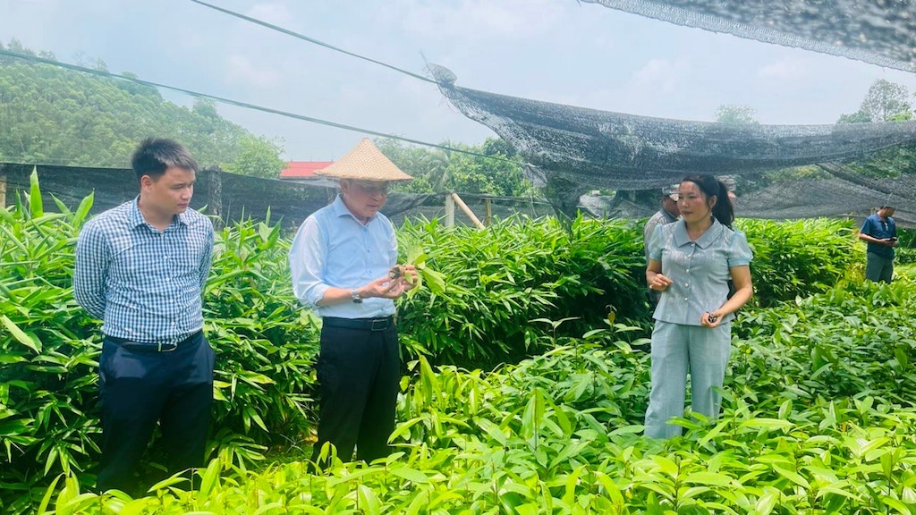 Chương trình OCOP như một cú hích để các HTX ở Tây Giang “đánh thức” tiềm năng sản vật bản địa.