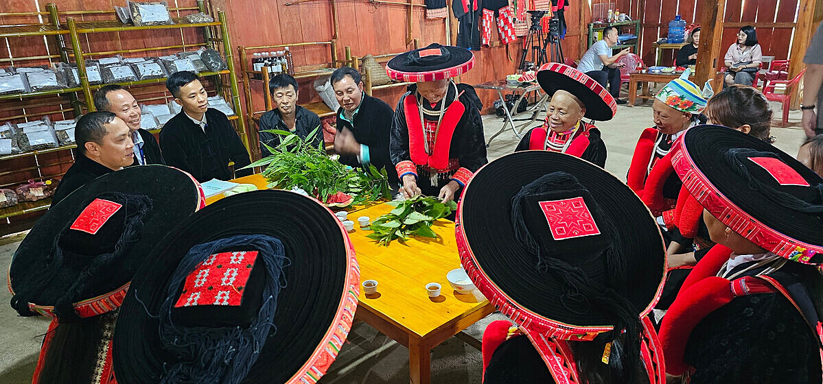 Câu lạc bộ Cộng đồng dân tộc Dao đỏ lan toả tinh thần hợp tác trong sản xuất kinh doanh.