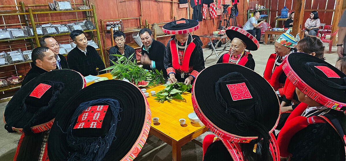 Câu lạc bộ Cộng đồng dân tộc Dao đỏ lan toả tinh thần hợp tác trong sản xuất kinh doanh.