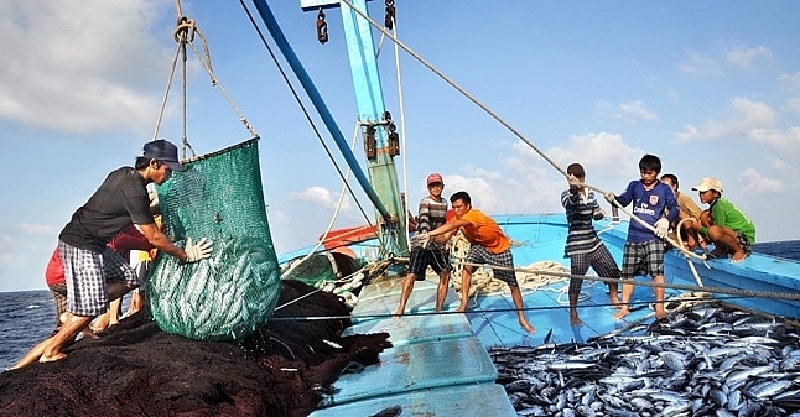 Bộ Nông nghiệp và Môi trường cho rằng hiện vẫn còn tình trạng tàu cá vi phạm vùng biển nước ngoài chưa được xử lý dứt điểm, việc cấp phép, gia hạn khai thác còn chậm; kiểm soát nhật ký khai thác chưa đồng bộ tại một số địa phương,...