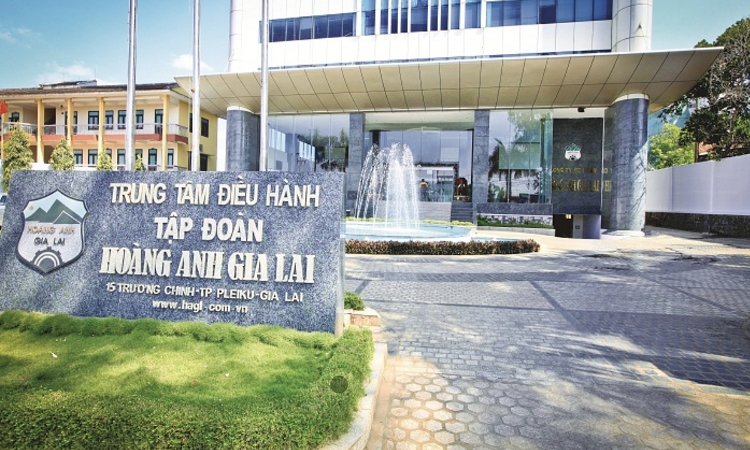 Sau Chủ tịch, hai ‘nữ tướng’ của Hoàng Anh Gia Lai thành công nâng sở hữu tại doanh nghiệp