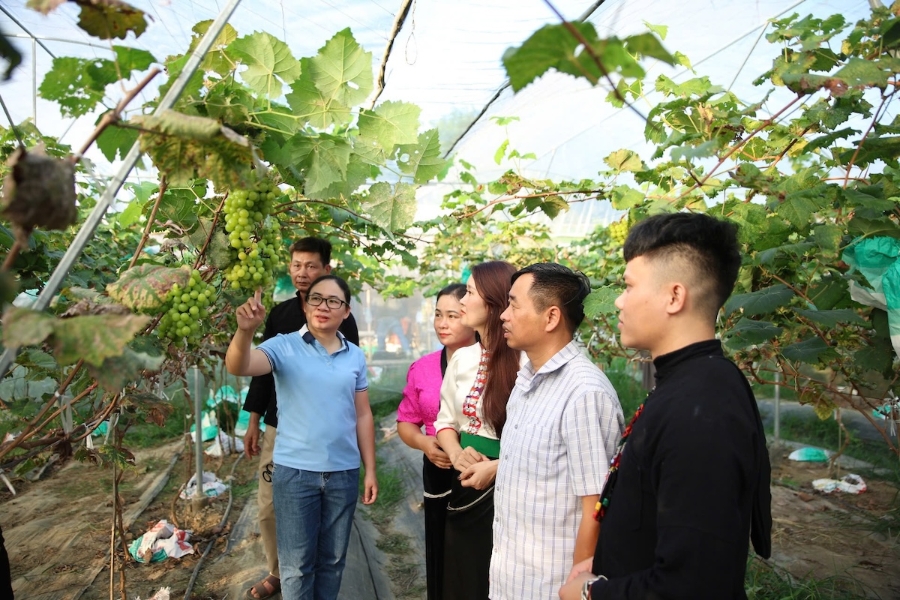 HTX và người dân nhận được nhiều sự hỗ trợ, đồng hành, khuyến khích.