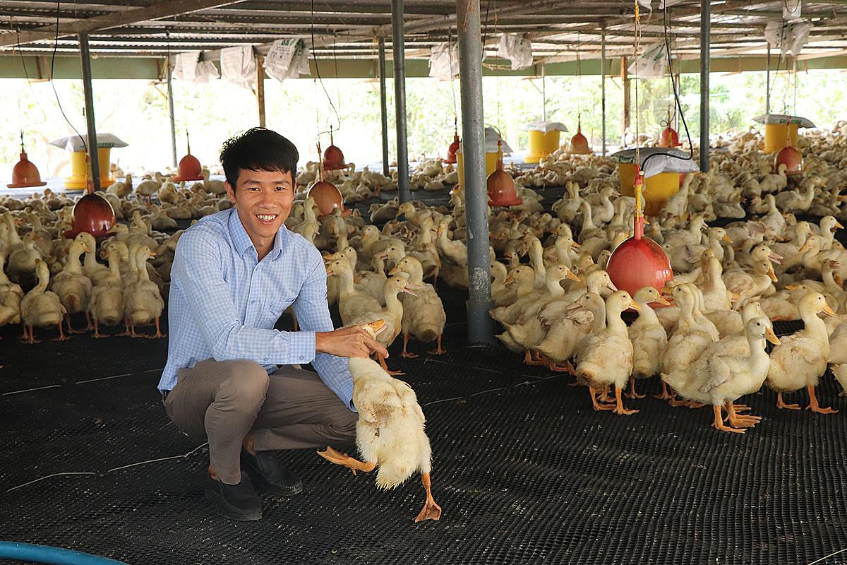 Phát triển chăn nuôi giúp chuyển đổi cơ cấu kinh tế, nâng cao thu nhập cho người dân.