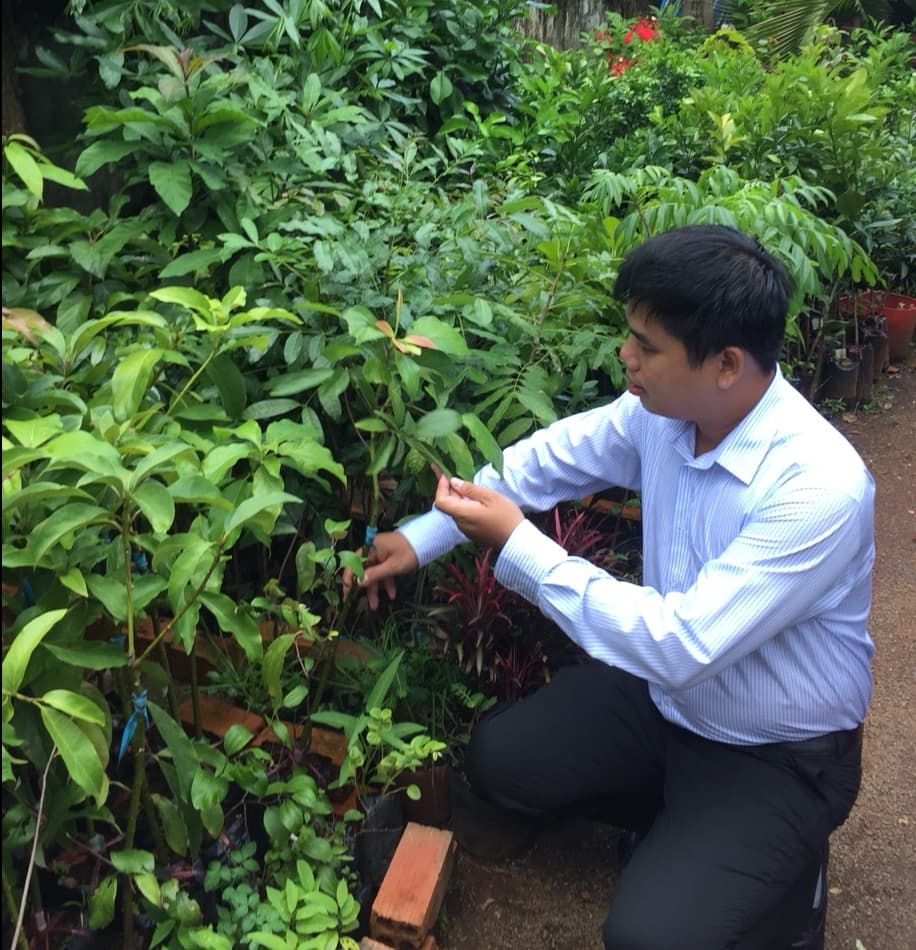 ô hình cung cấp cây giống của HTX Đại Thành trên địa bàn thành phố Ngã Bảy.