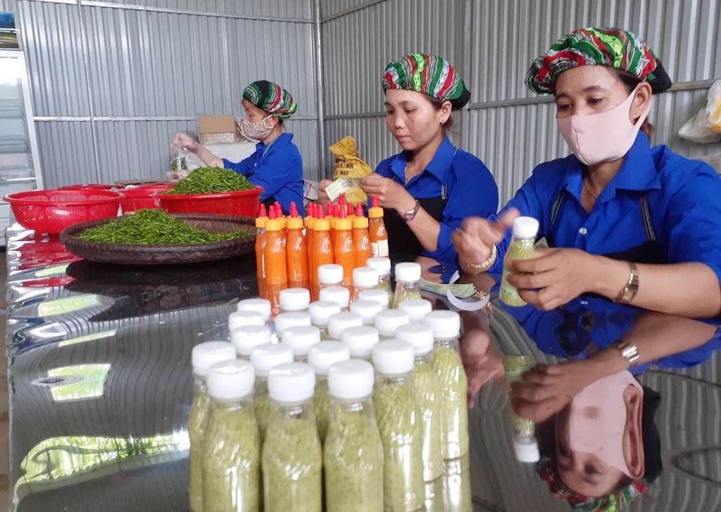 HTX Nông lâm nghiệp Mà Cooih tạo công ăn việc làm cho đồng bào dân tộc thiểu số ở xã Mà Cooih nhờ chế biến các sản phẩm từ ớt A Riêu.