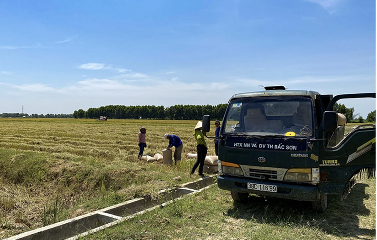 HTX Bắc Sơn là HTX đầu tiên ở Hà Tĩnh sản xuất theo mô hình tích tụ ruộng đất.