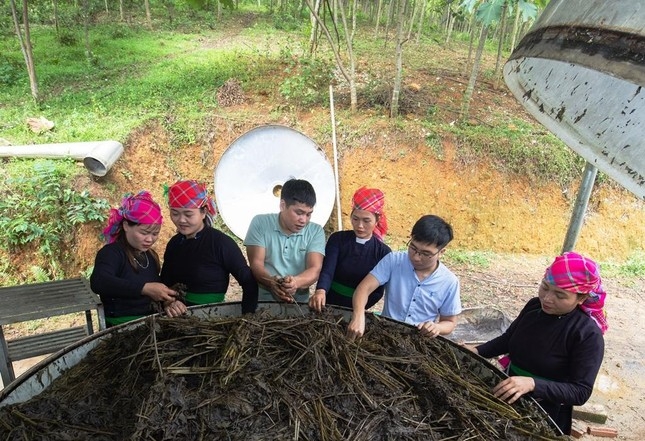 Đưa cơ giới hóa và ứng dụng khoa học - công nghệ, nâng cao chất lượng sản phẩm đủ sức cạnh tranh trên thị trường.