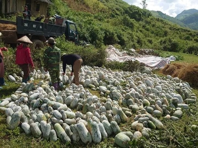 Sản phẩm của các HTX đã trở thành sản phẩm chủ lực, giúp xóa đói, giảm nghèo cho người dân.