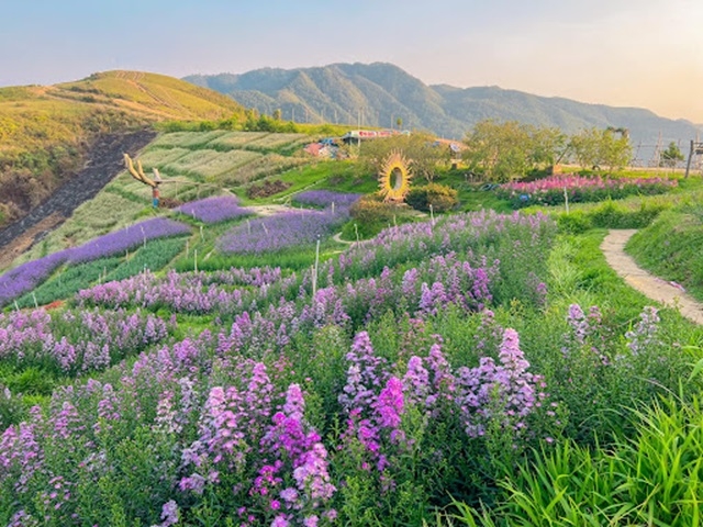 Tuần Giáo đã tận dụng tối đa các chương trình giảm nghèo để phát triển du lịch.