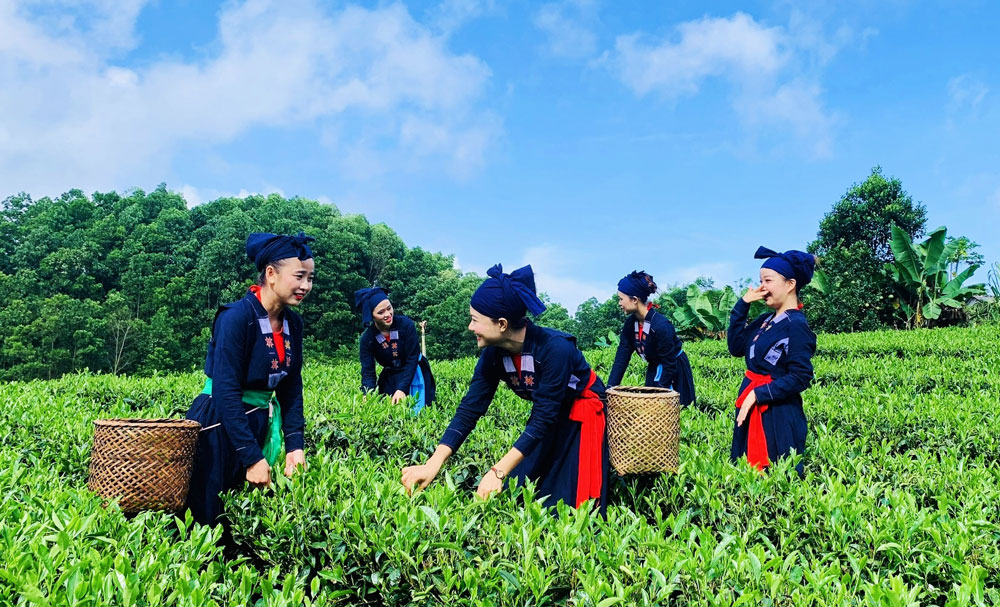 HTX đang tạo việc làm cho nhiều lao động địa phương.