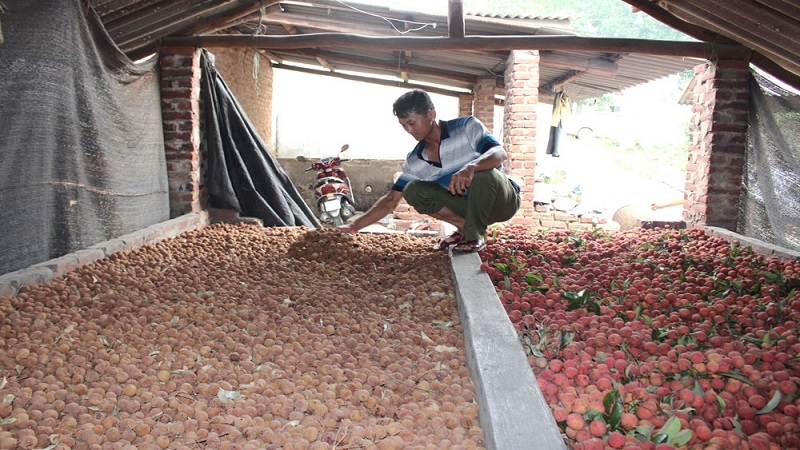 Để nâng cao giá trị quả vải,