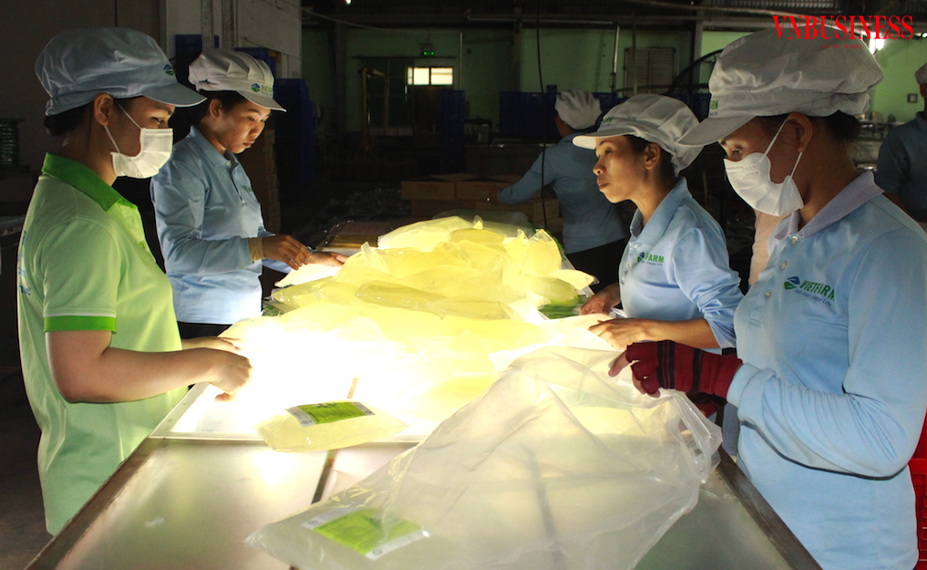 “Hoàn cảnh vất vả” của các mắt xích trong chuỗi giá trị nông sản thực phẩm Việt rất cần được sớm khắc phục trong thời gian tới để tránh rủi ro luôn chực chờ ở phía trước