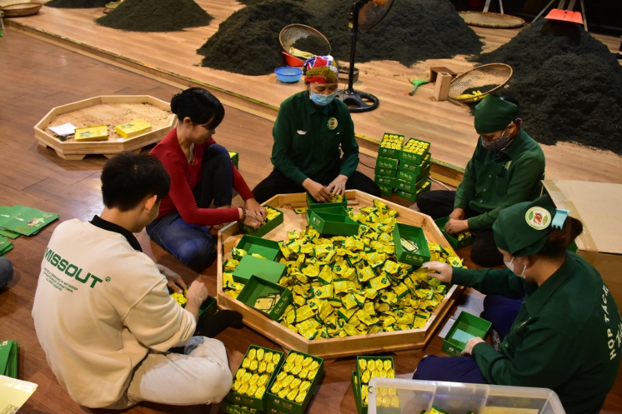 Người lao động tại HTX chè Hảo Đạt có mức thu nhập hơn 200.000 đồng/ngày.