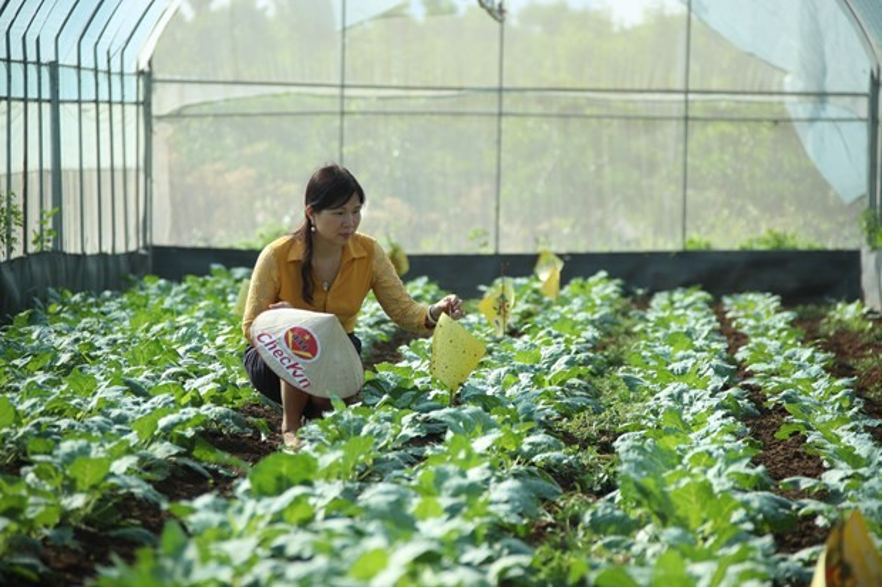 Các tổ chức chứng nhận và kiểm nghiệm hoạt động đúng chuẩn mực, HTX, người tiêu dùng mới yên tâm về chất lượng sản phẩm.