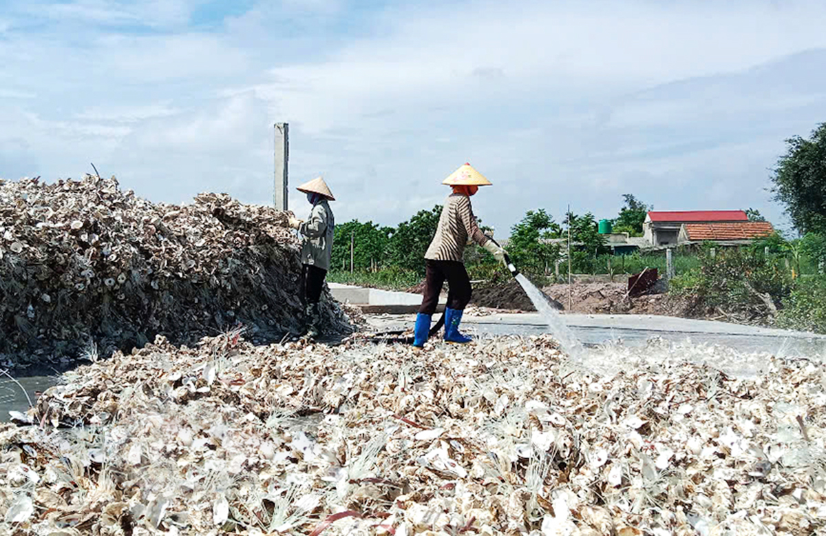 Các HTX, tổ hợp tác là một trong những trụ cột giảm nghèo ở Kim Trung, nay là Kim Đông sau sắp xếp &lpar;Ảnh: BNB&rpar;.