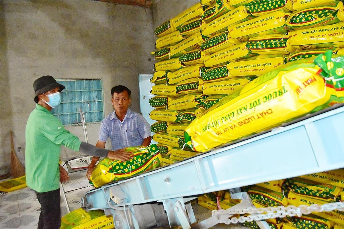 Ông Trần Văn Chung &lpar;phải&rpar;, Giám đốc HTX Nông nghiệp Phát Tài đưa lúa giống vào nhà kho sau khi đóng bao bì.