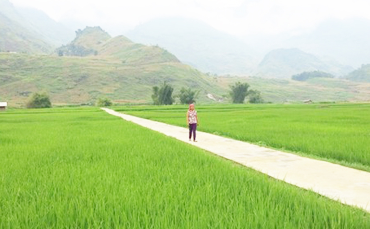 Những thành công trong xây dựng nông thôn mới giúp đời sống của người dân Đông Hà nâng tầm.