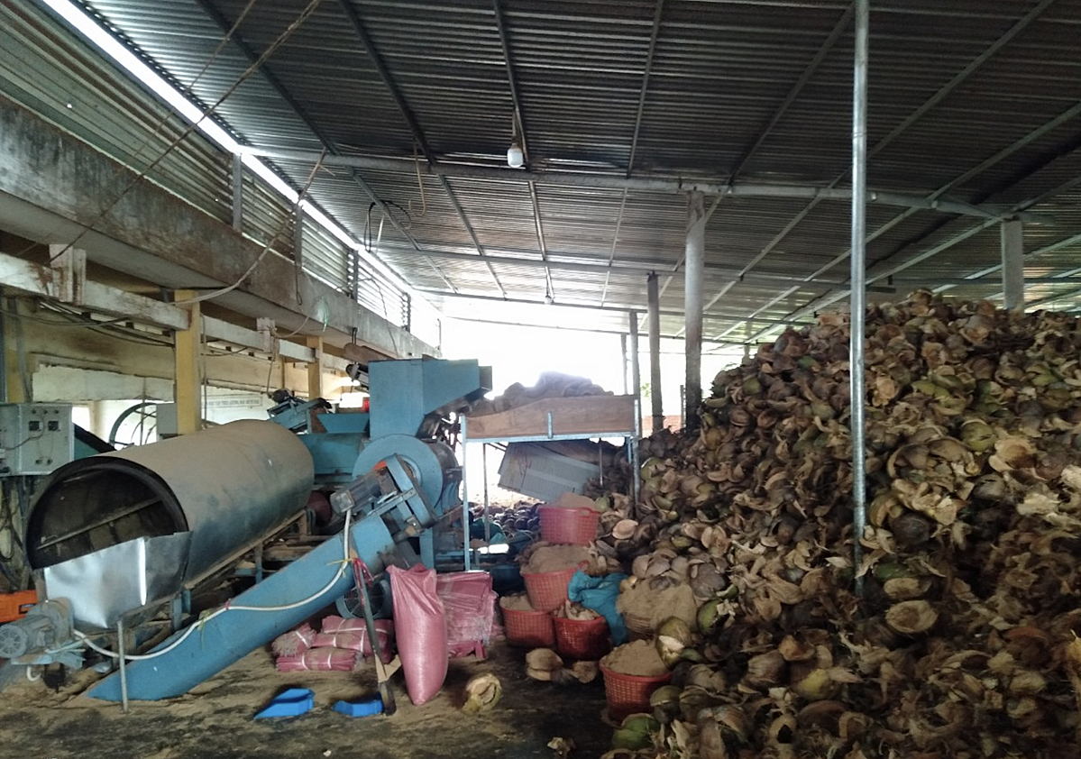 HTX Định Thuỷ sở hữu 500ha dừa, trong đó có 144ha dừa hữu cơ sản xuất theo chuỗi giá trị có liên kết với doanh nghiệp.