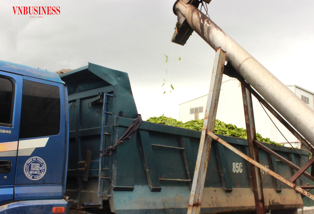 Thay vì đổ bỏ gây lãng phí, hàng triệu tấn phụ phẩm rau quả cần được tận dụng thành nguồn nguyên liệu xanh cung ứng cho nhu cầu “xanh hóa” sản xuất của các DN.
