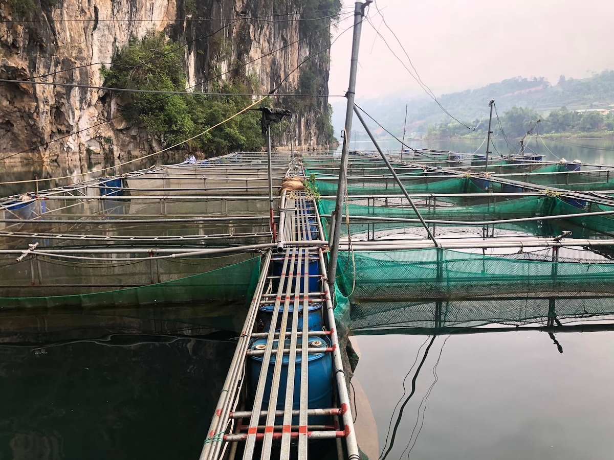 Một trang trại nuôi cá nước lạnh ở Lai Châu. &lpar;Ảnh: HTX Nông công nghiệp và Thương mại Du lịch Than Uyên&rpar;