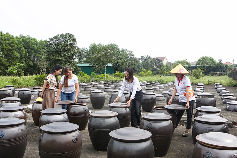 Chị Phan Thị Lý &lpar;thứ hai từ phải sang&rpar; đã từng bước gây dựng sự nghiệp, trở thành người quản lý 2 HTX.