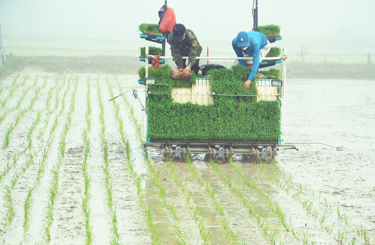 Chuyển đổi sản xuất hiệu quả là nền tảng xây dựng nông thôn mới ở Nghệ An &lpar;Ảnh: BNA&rpar;.