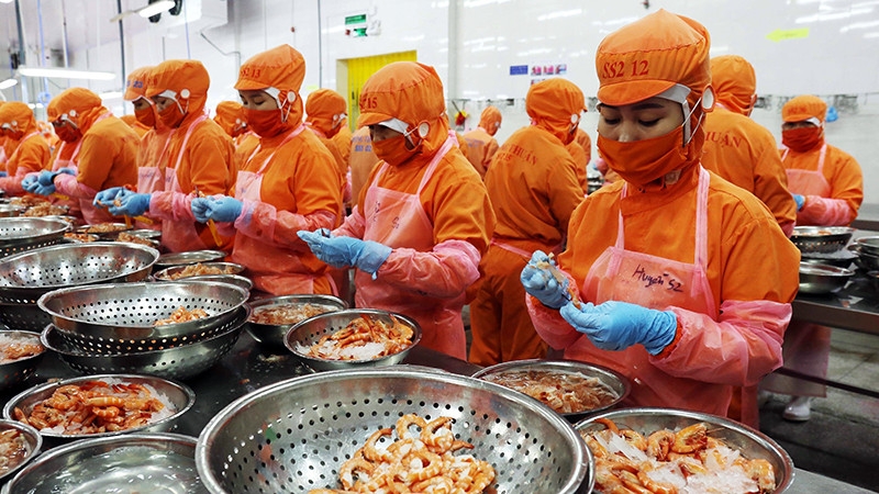 Tổng kim ngạch xuất khẩu NLTS 6 tháng đầu năm 2025 đạt 33,8 tỷ USD, trong đó thủy sản là một trong số các mặt hàng nông sản chính có sự tăng trưởng mạnh.