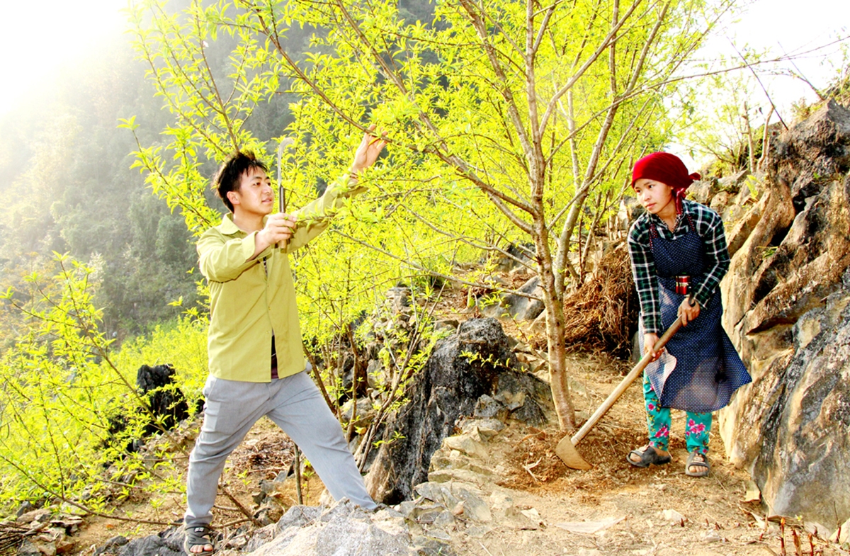 Cây ăn quả ôn đới đang cho hiệu quả kinh tế cao ở Tuyên Quang &lpar;Ảnh: BTQ&rpar;.