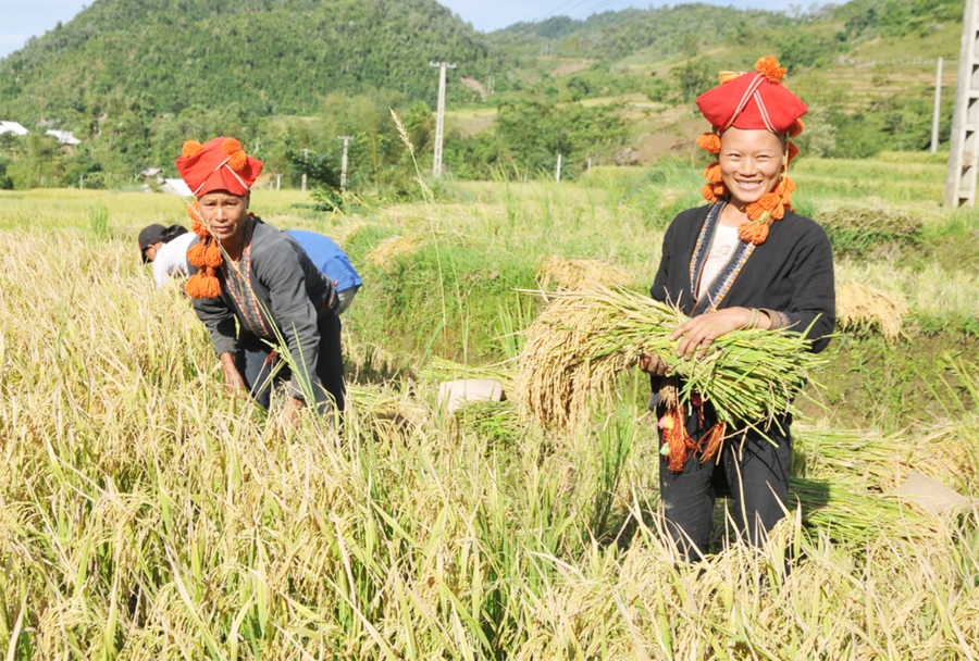 Các HTX đóng góp tích cực vào quá trình xây dựng nông thôn mới ở Lào Cai &lpar;Ảnh: BLC&rpar;.