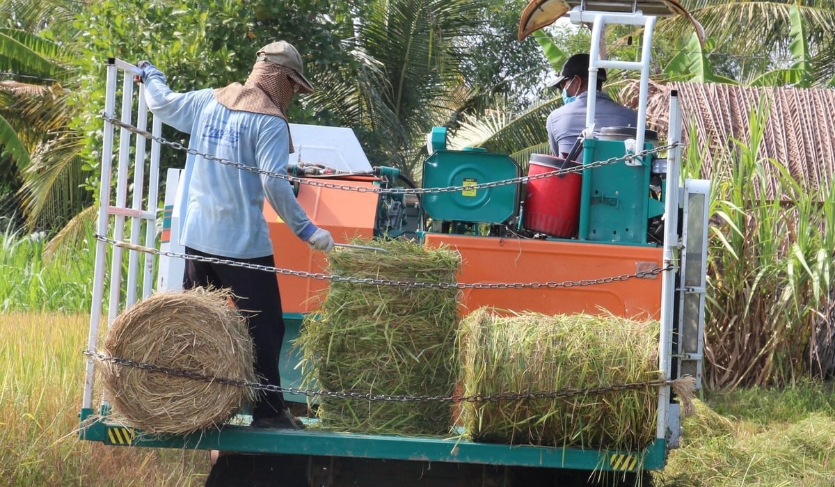 Nhiều HTX nông nghiệp ở đã trang bị máy cuộn rơm đưa rơm khỏi đồng ruộng.