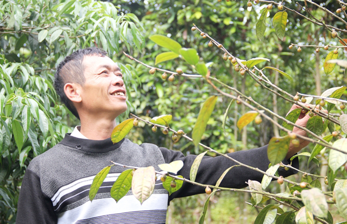 Thành công của OCOP là đòn bẩy trong xây dựng nông thôn mới ở Quảng Ninh.