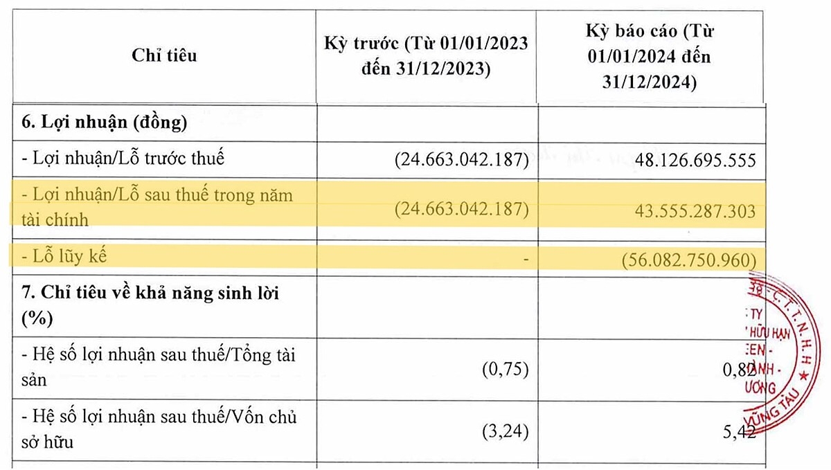 Mặc dù tình hình kinh doanh trong năm 2024 của Công ty Allgreen đã khởi sắc, nhưng doanh nghiệp vẫn còn khoản lỗ lũy kế gần 56,1 tỷ đồng.