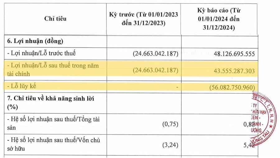 Mặc dù tình hình kinh doanh trong năm 2024 của Công ty Allgreen đã khởi sắc, nhưng doanh nghiệp vẫn còn khoản lỗ lũy kế gần 56,1 tỷ đồng.