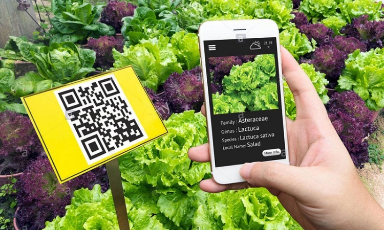 Xác thực truy xuất nguồn gốc: hộ chiếu số của sản phẩm cho hành trình xuất ngoại