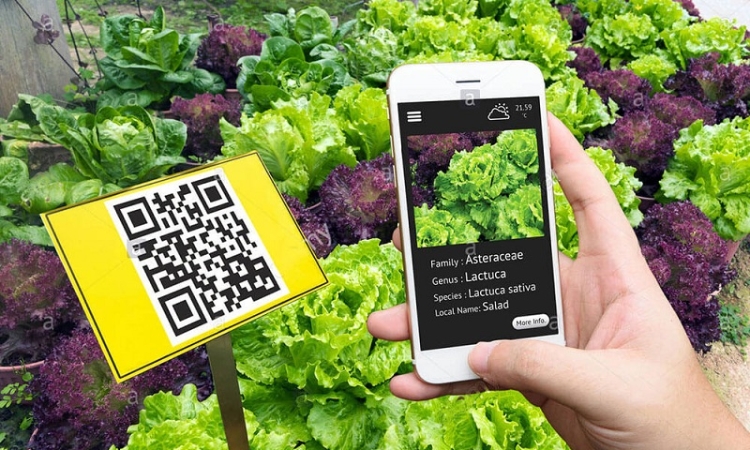 Xác thực truy xuất nguồn gốc: hộ chiếu số của sản phẩm cho hành trình xuất ngoại