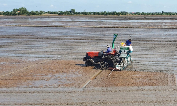 Phát triển bền vững và giảm phát thải trong sản xuất lúa gạo giúp nông dân ở Cần Thơ đổi đời