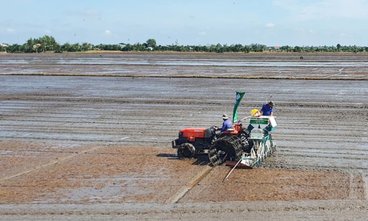 Phát triển bền vững và giảm phát thải trong sản xuất lúa gạo giúp nông dân ở Cần Thơ đổi đời