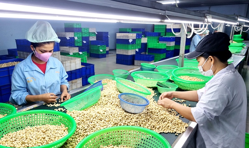 Bộ NN&MT tin tưởng sẽ hoàn thành mục tiêu kim ngạch xuất khẩu đạt 65 tỷ USD trở lên trong năm 2025.