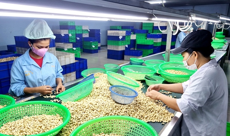 Bộ NN&MT tin tưởng sẽ hoàn thành mục tiêu kim ngạch xuất khẩu đạt 65 tỷ USD trở lên trong năm 2025.