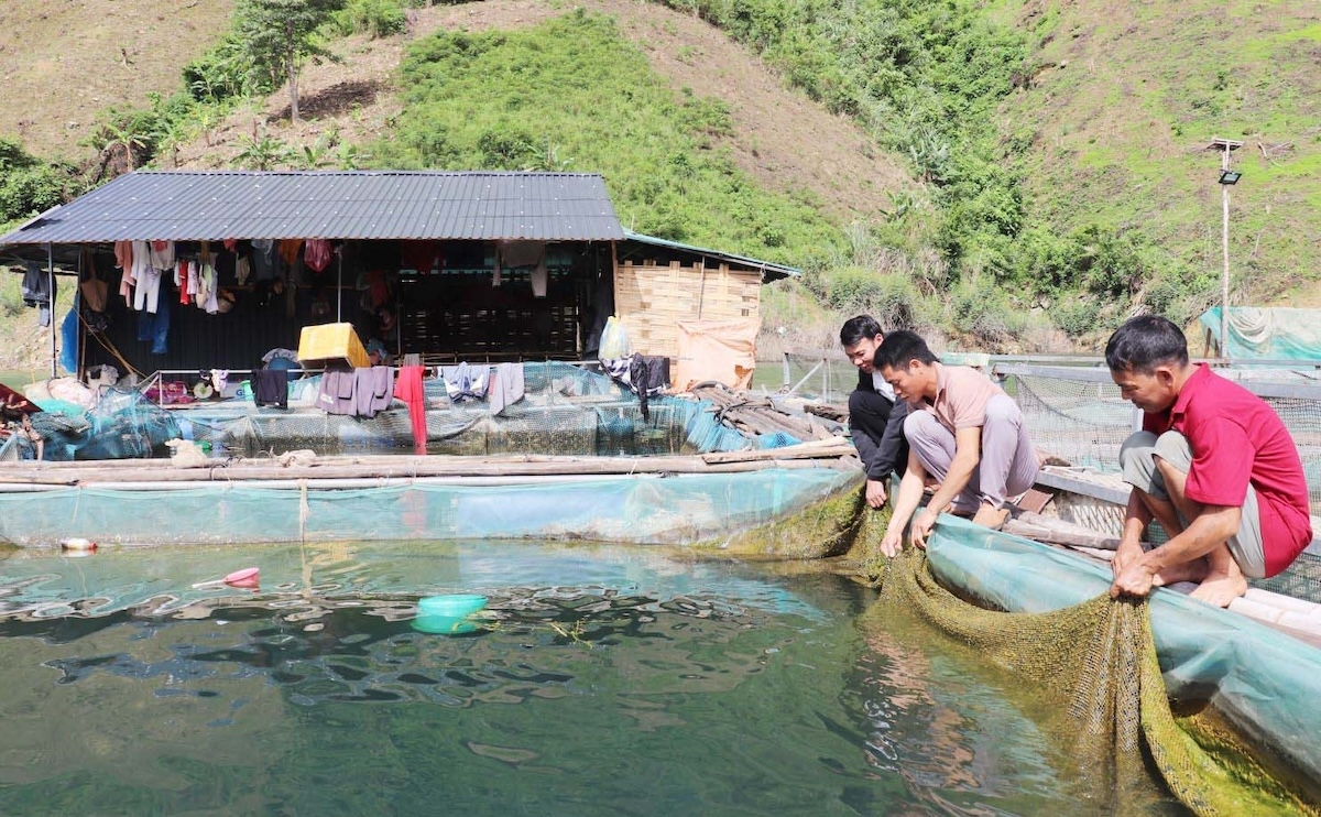 Một mô hình nuôi cá của người dân xã Mường Khiêng.