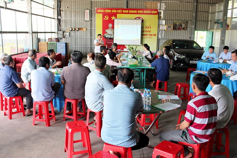 HTX Dịch vụ nông nghiệp Tịnh Thới thường xuyên tổ chức tập huấn, hướng dẫn áp dụng khoa học kỹ thuật vào sản xuất xoài cho các thành viên.